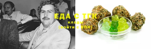 крисы Инта