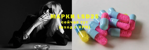 крисы Инта