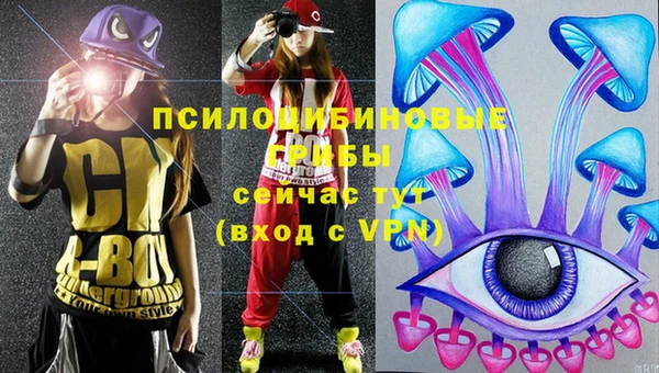 ешки Заволжье