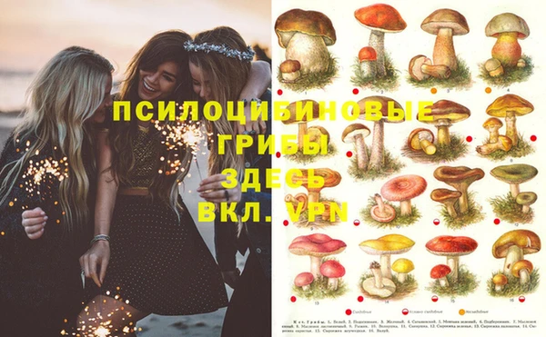 гидропоника Инсар