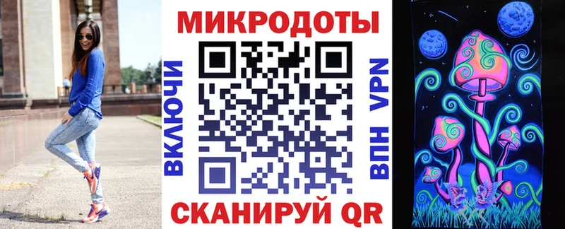Галлюциногенные грибы Psilocybine cubensis Питкяранта